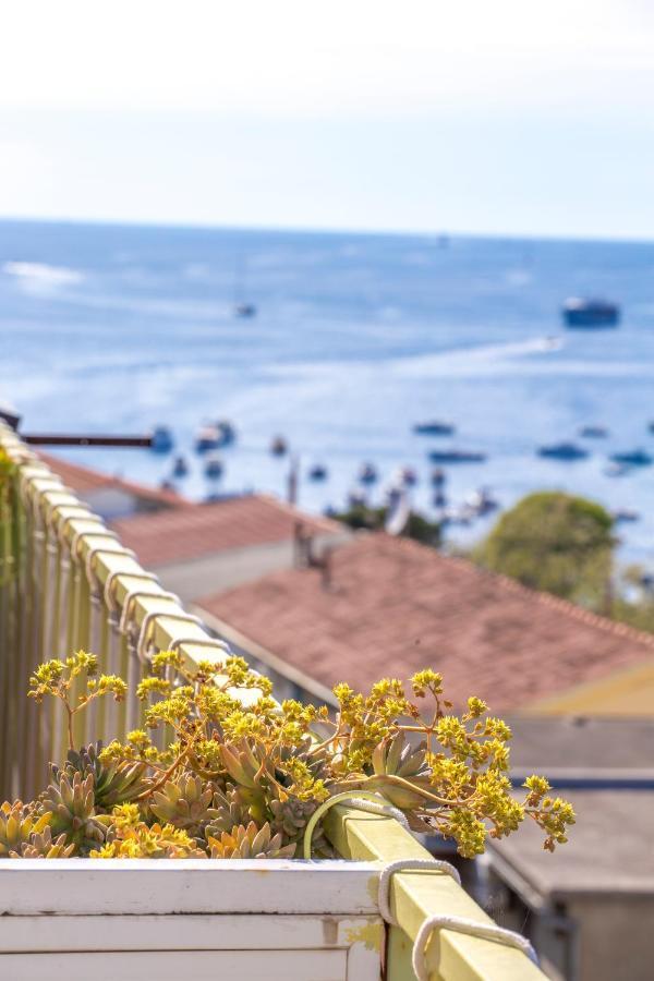 Apartments Marica Hvar Town Kültér fotó